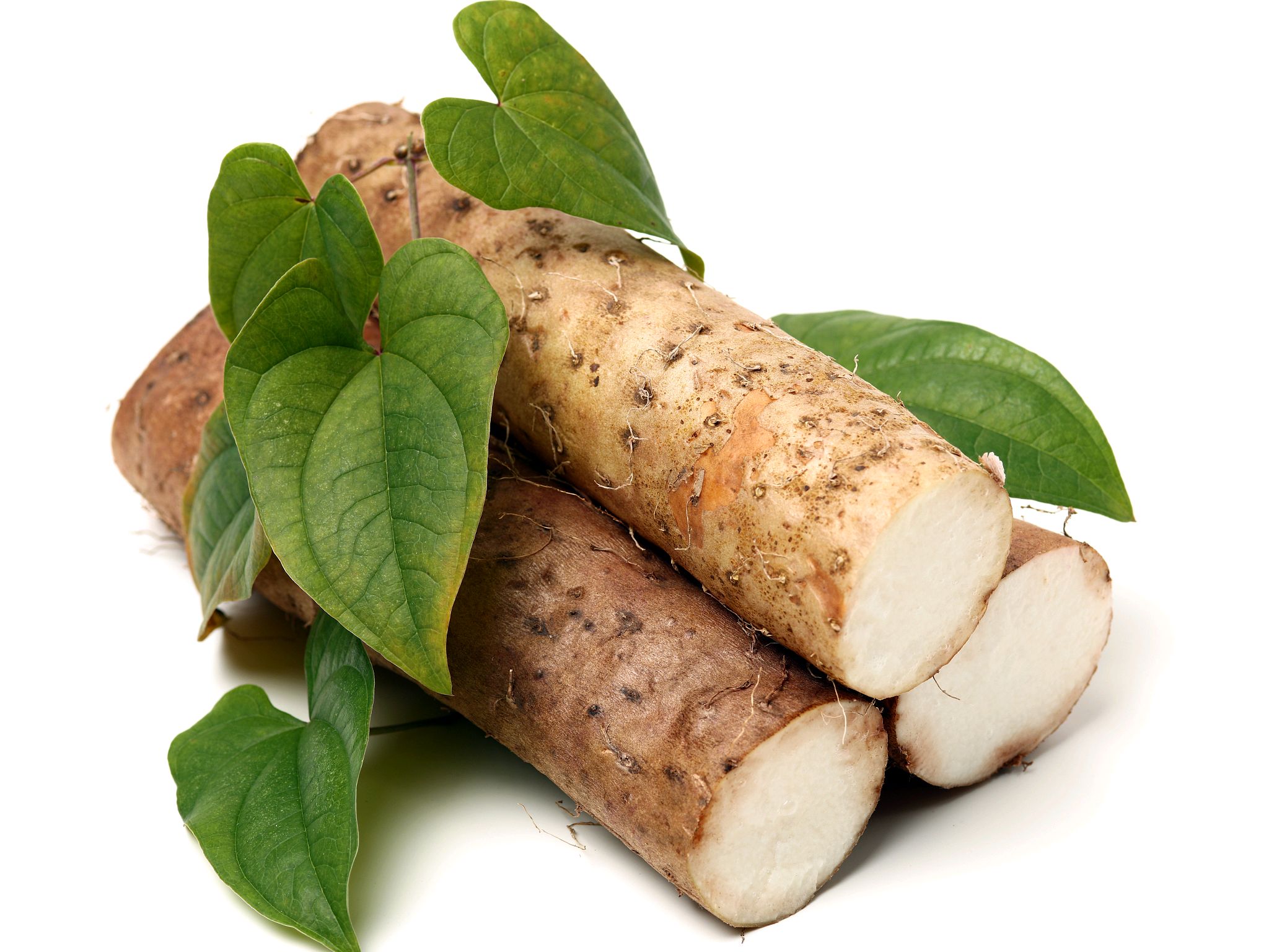 Top uses of diosgenin powder in dietary supplement formulas